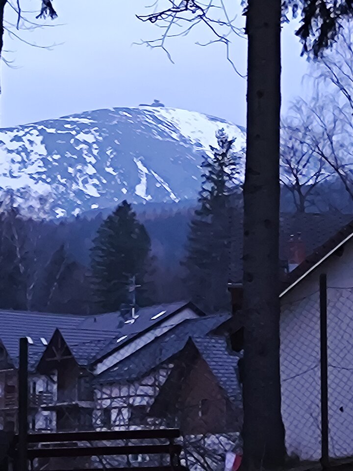 1000006804.jpg - tom6970