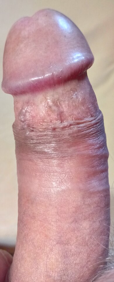 IMG_20240314_080458.jpg - Jawoeownik