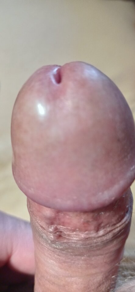 IMG_20240314_080316.jpg - Jawoeownik