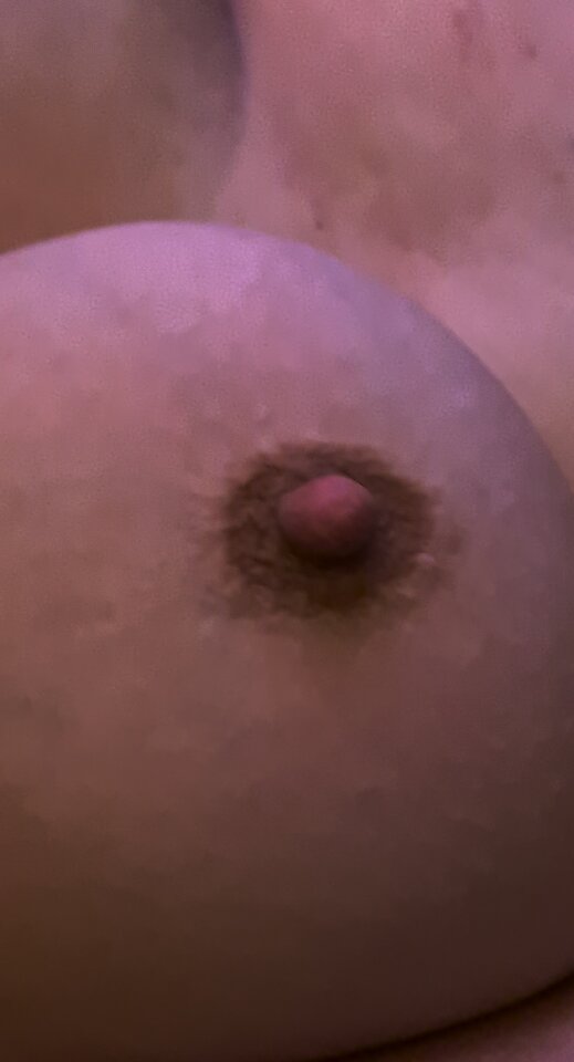 4912_Gallery.jpg - parasexmv