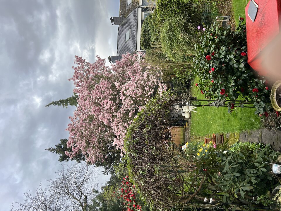 IMG_3025.jpeg - Henryk1