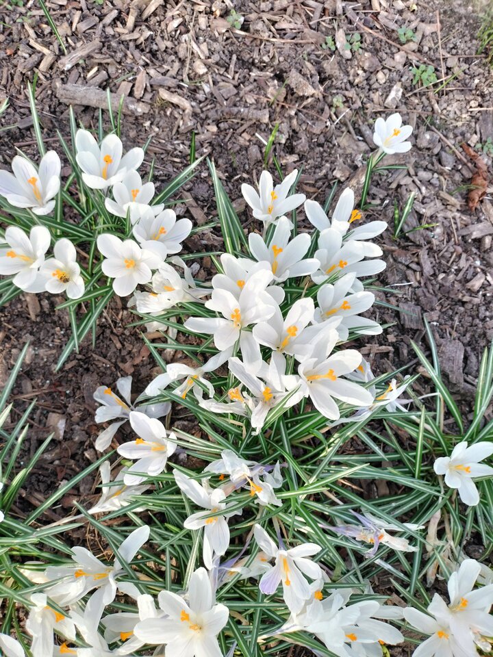 IMG20240315155809.jpg - Niunka150990