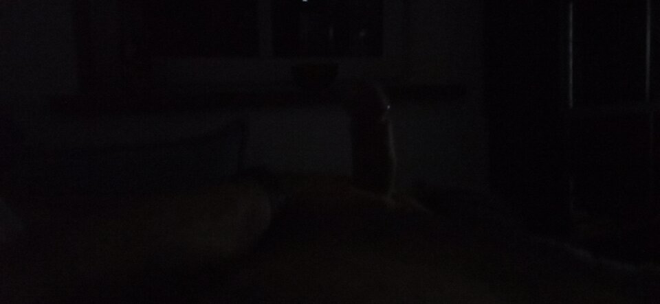 IMG_20240316_025754.jpg - Cyjanotypia