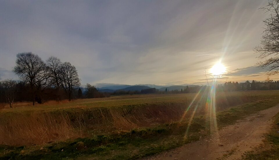 20240315_165829.jpg - Pavkaa