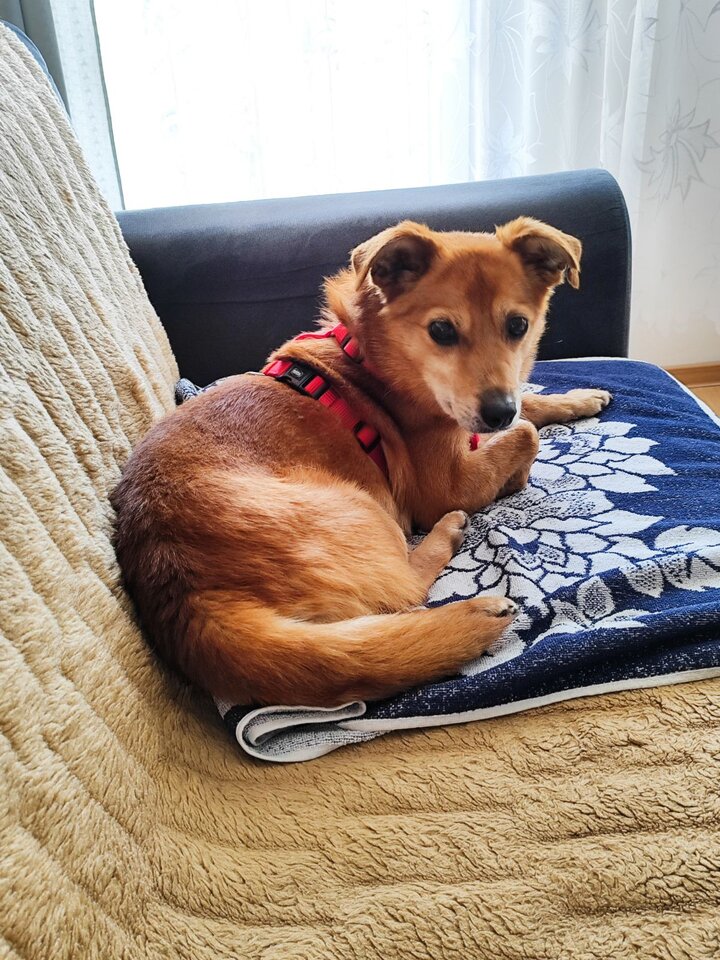 IMG_20240309_140231.jpg - Nieznajomy1001