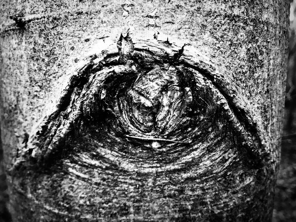 7A0CBE87-31D3-4F71-AA64-E77F403ADB72.jpeg - erwu73