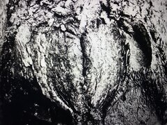 664DBA23-3516-49C3-AB83-ACE826FA10F8.jpeg