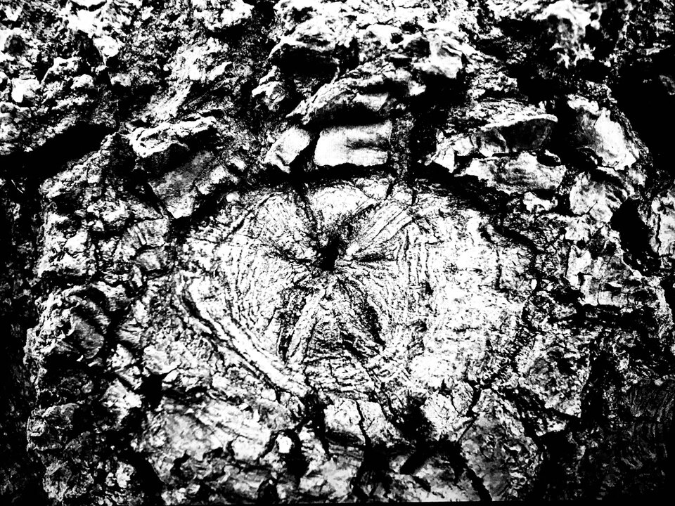 4A00D29E-EFFB-4311-95D6-216CC998D5C8.jpeg - erwu73