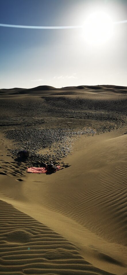 IMG_20240315_175946.jpg - DontWakeUpAlex