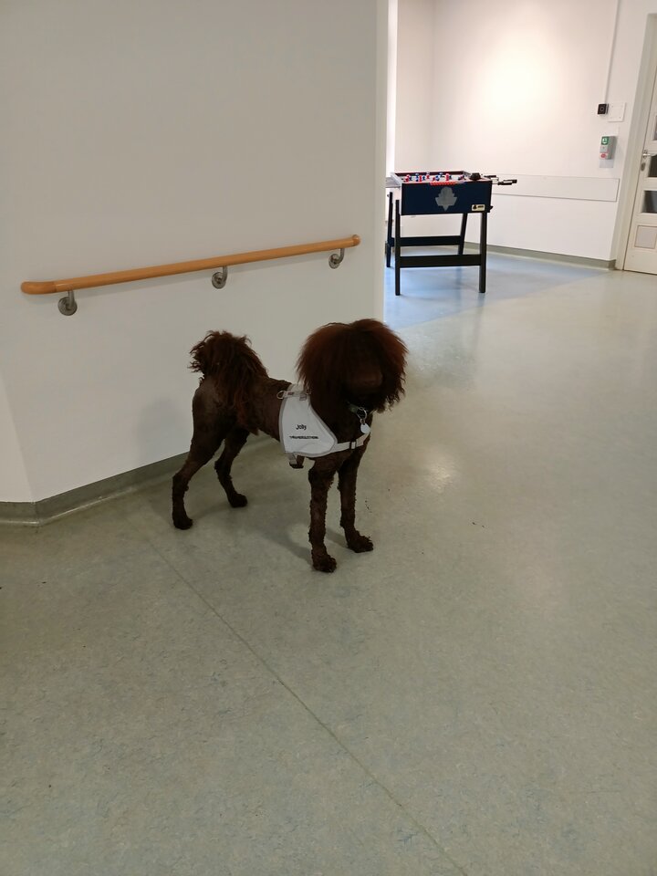 Odwiedziny Jolly na oddziale:)) - Eurydyka2956