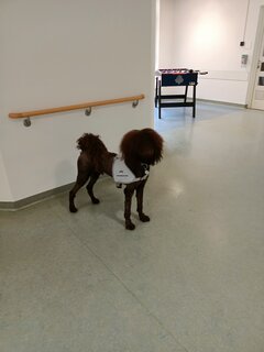 Odwiedziny Jolly na oddziale:))