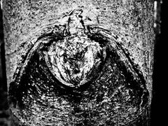 8116A79C-4198-47B9-B7ED-3ED33AC9B19E.jpeg