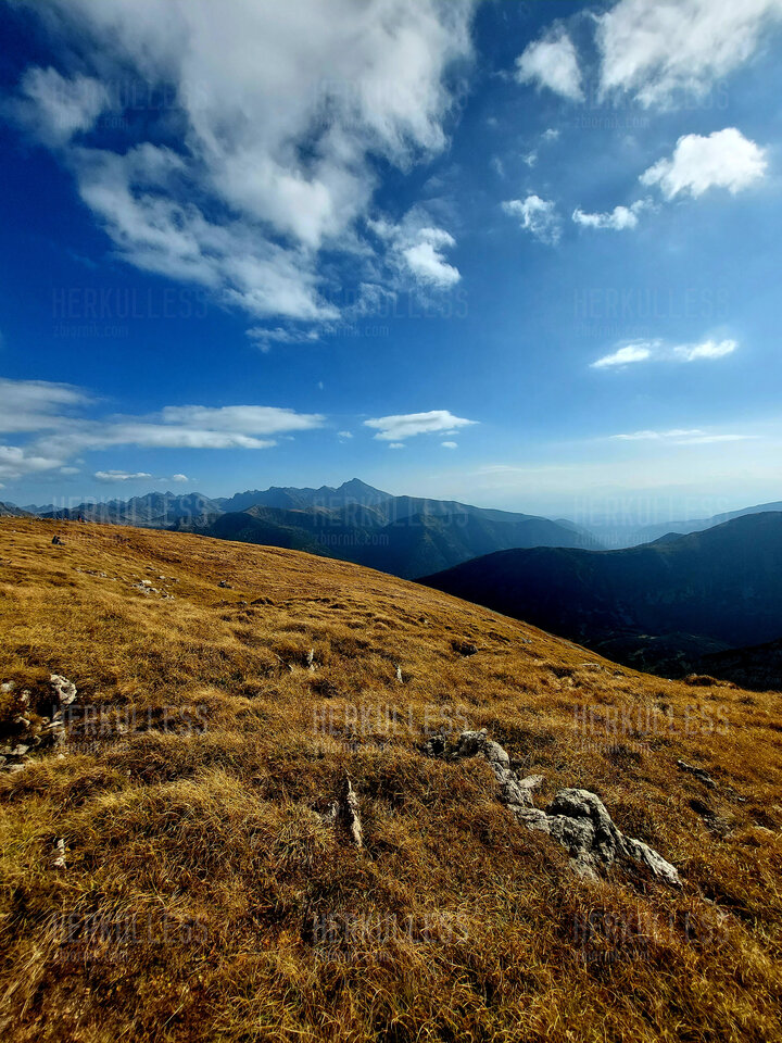 1000007197.jpg - Herkulless
