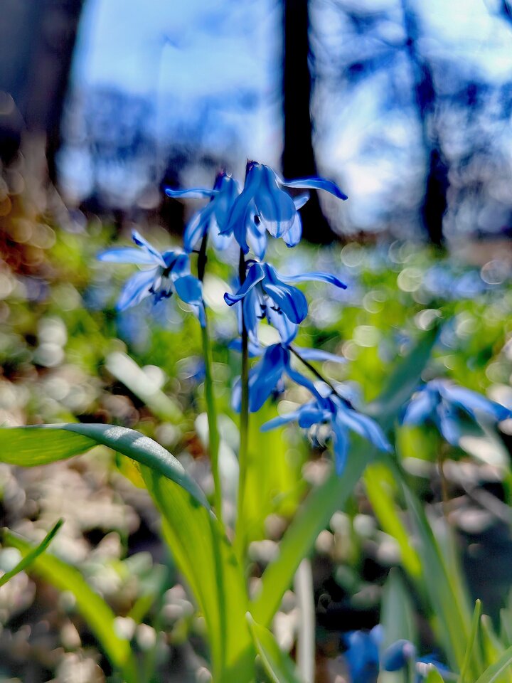 IMG_20240319_124300_edit_374573926193464.jpg - Hedonist11