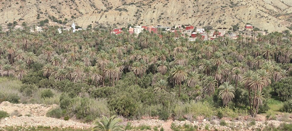 IMG_20240318_105536.jpg - Dyskretny1982on