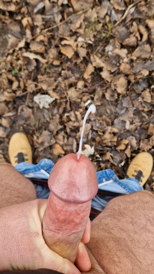 1000028217.jpg - YourSong