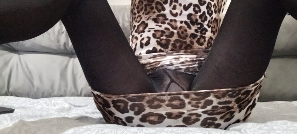 IMG_20240320_211451.jpg - Kinga33Trans