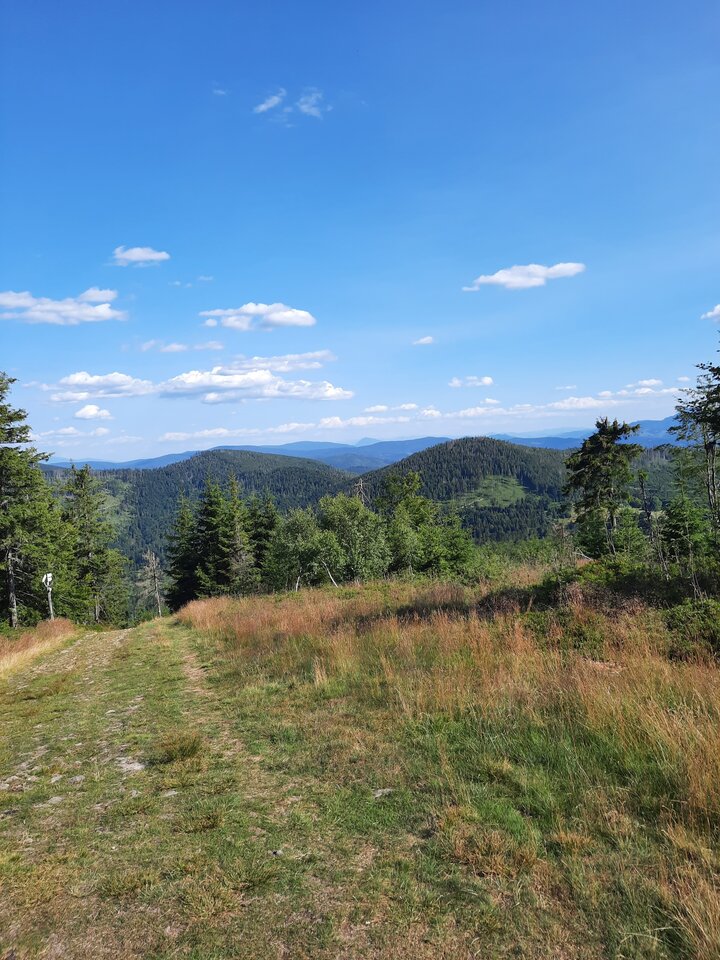 20220719_164355.jpg - Micha_