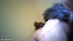 MOV00002 - frame at 3m7s.jpg