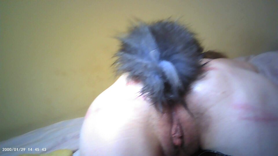 MOV00002 - frame at 3m21sr.jpg - Maltazar696