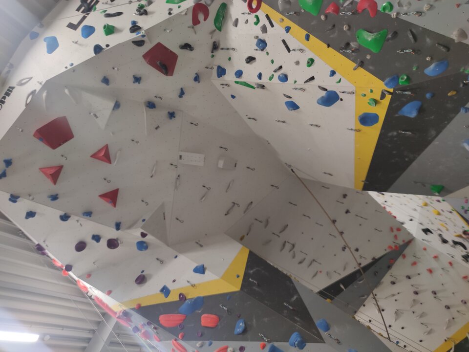 IMG_20240321_184504.jpg - Agrestowe_Pole