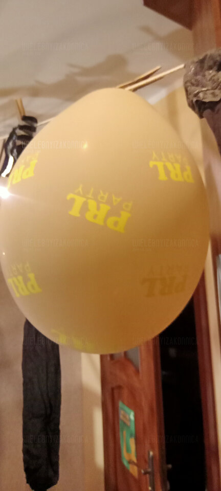 IMG20230929174742.jpg - WielebnyiZakonnica