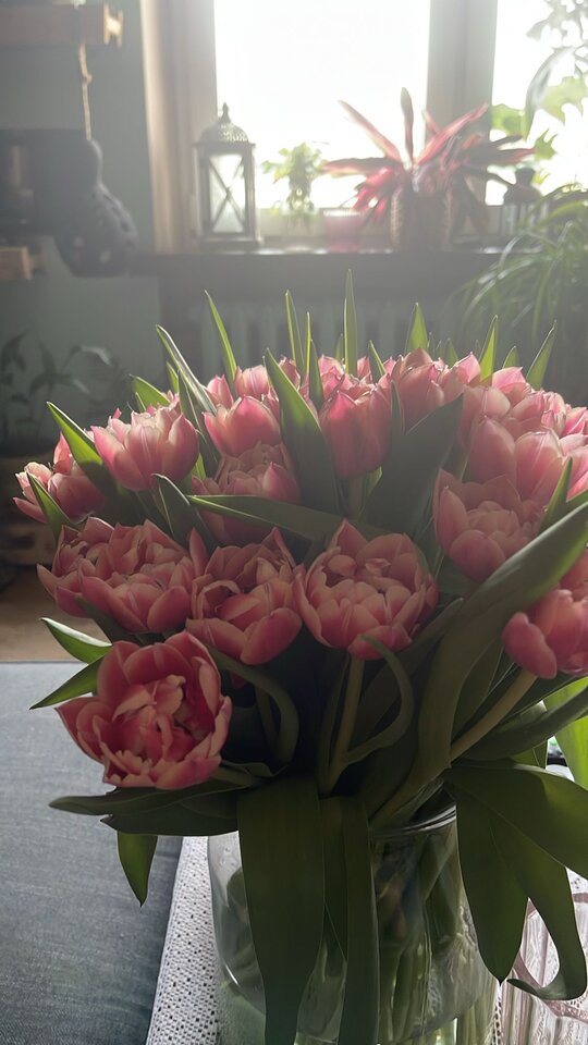 IMG-20240320-WA0004.jpg - Czarodzieje_alfa