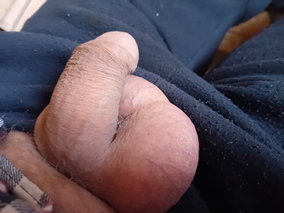 20240311_090941.jpg - brus13