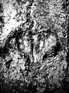 D79244B1-875E-4521-9DE5-DF9486F17827.jpeg