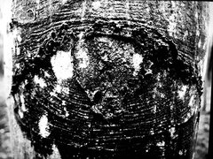 605B1676-02E2-4D5A-A99E-DFE53D871DB8.jpeg