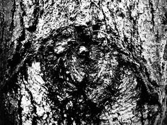 715BE348-ED8A-4D44-A520-4B4207D8BC20.jpeg