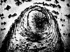 5EFBEB9C-B36B-466D-8340-96157840361B.jpeg