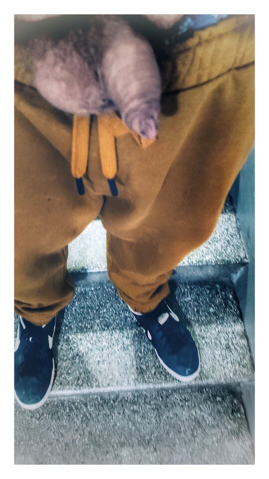 1711148414087-01.jpeg - PuszystyLubuskie