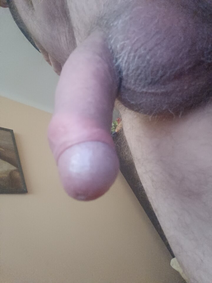 17111832292945754048951925180261.jpg - ardas1