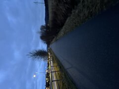 IMG_9505.jpeg
