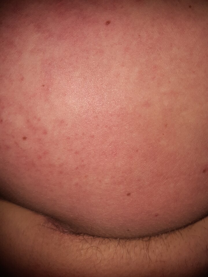 20240323_164435.jpg - Gkwmax1