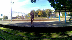 20221006_113107A.mp4_snapshot_00.39.635.jpg