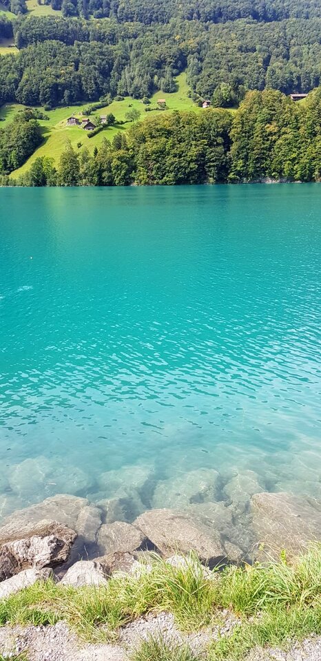 1000045303.jpg - JejDoZwiazku89