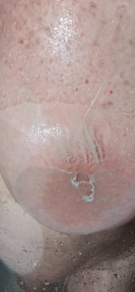 IMG_20240324_065623.jpg - olla55