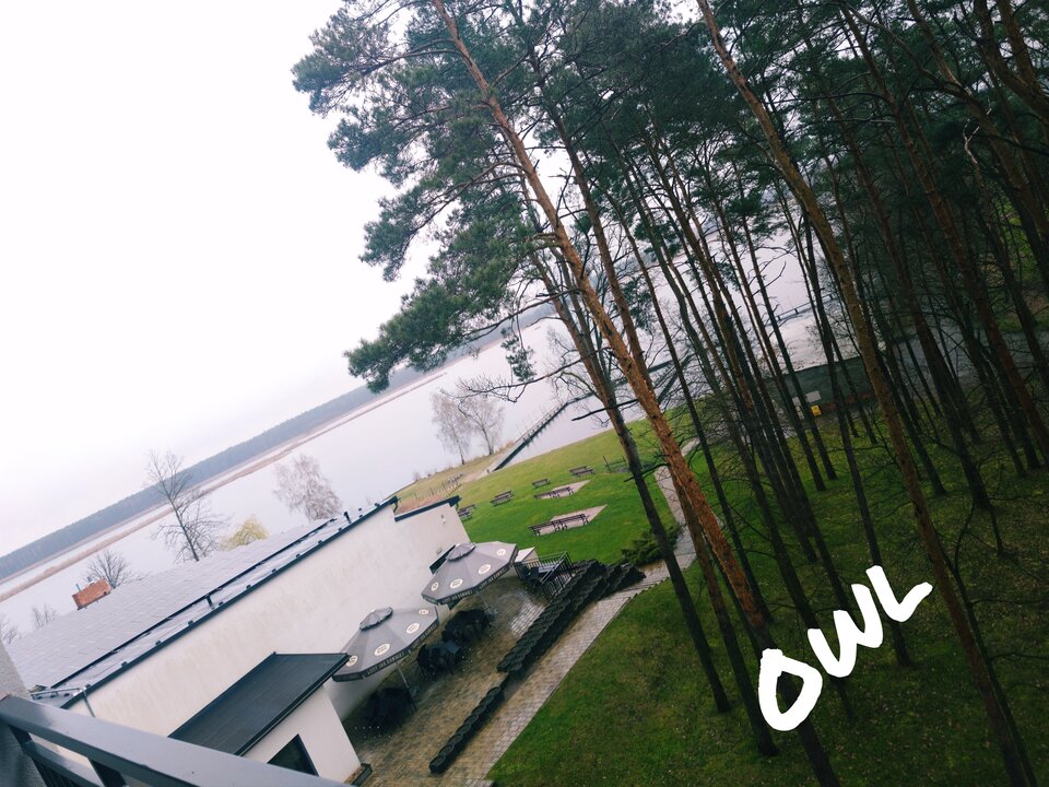 1000037191.jpg - OwlsSoul