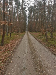 IMG_20240324_081837.jpg