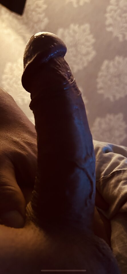 IMG_7299.jpeg - Kociaki66