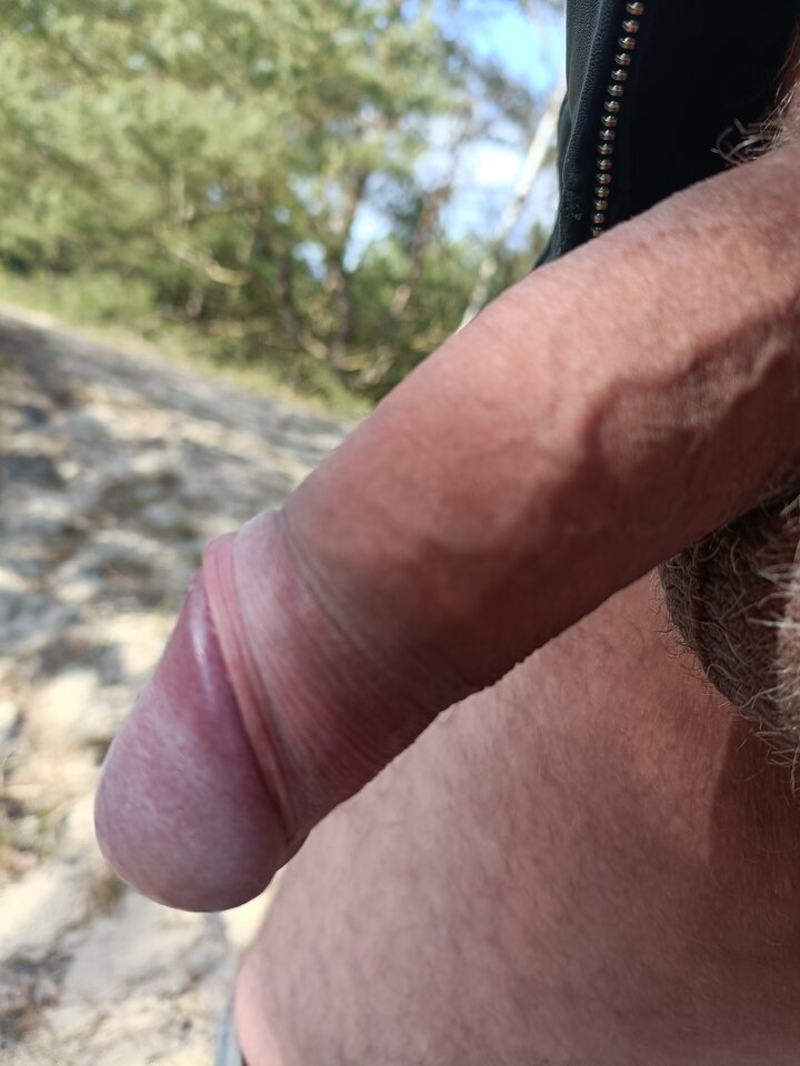 17112885659313933079668998933699.jpg - ardas1