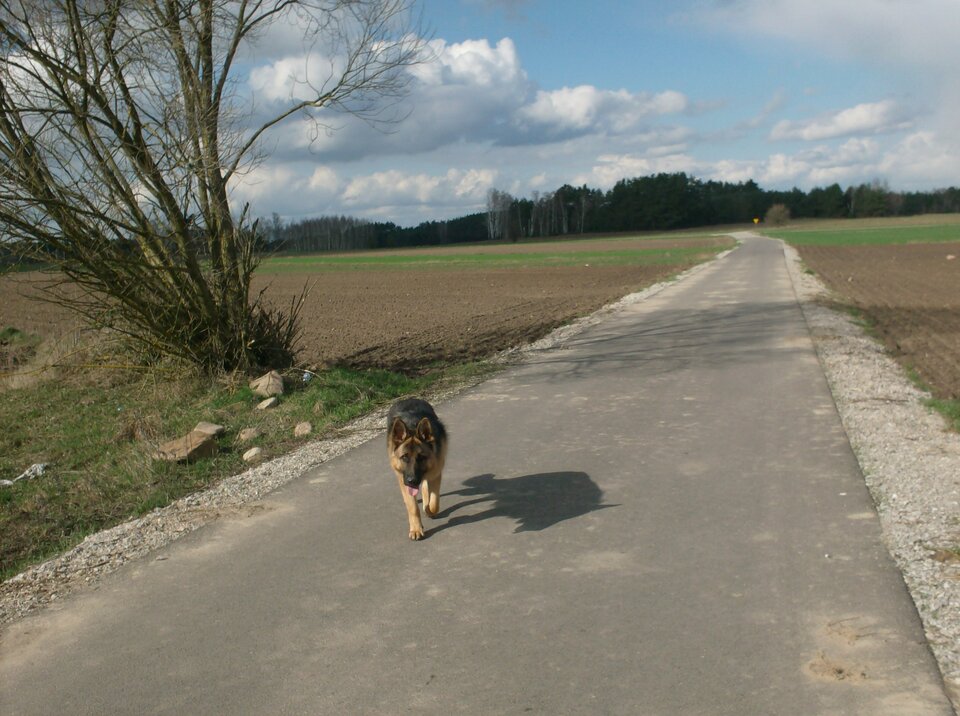 HPIM1437.JPG - Zenek1956