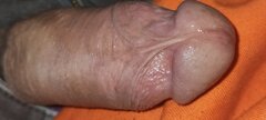 IMG20240324185529.jpg