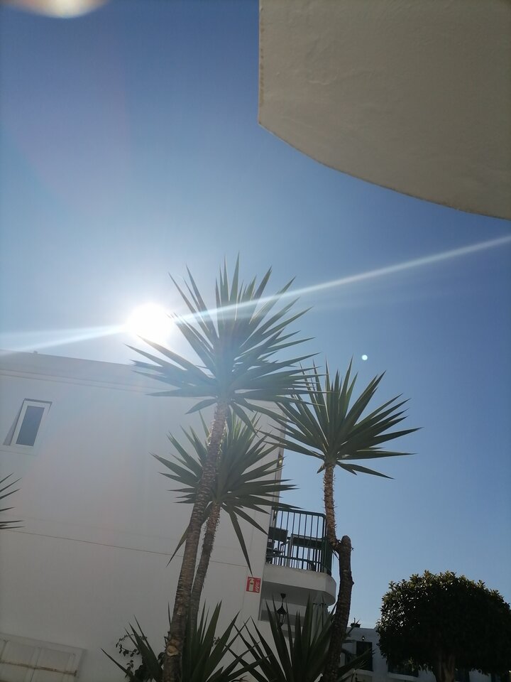 IMG_20240324_093010.jpg - OnWysoki1987