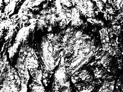 AFFF6E52-9B02-4A96-843A-B8BF3AC7C744.jpeg
