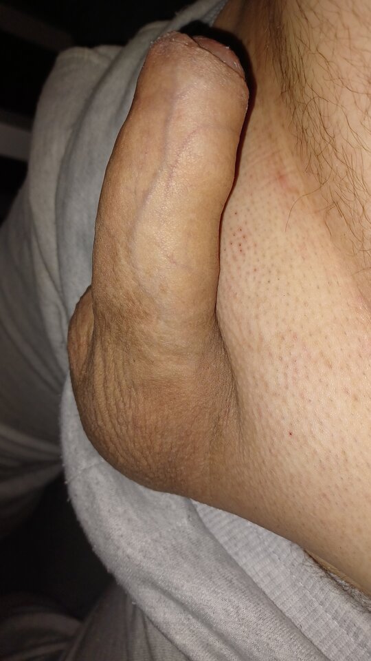 Odpoczywa po goleniu :9 - regulator24