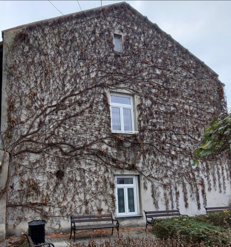 20240324_23475.jpg - Sasetek