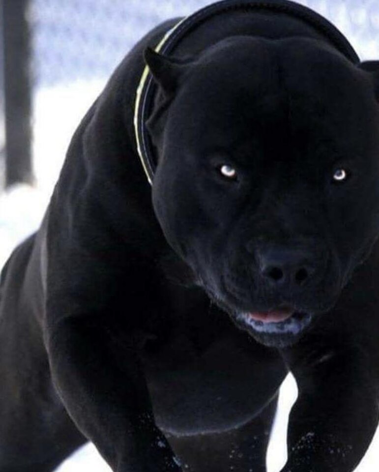 20240325_003945.jpg - Sasetek